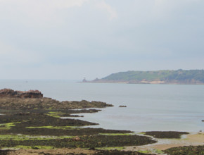jersey guernsey diary